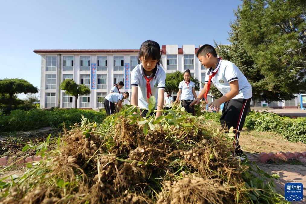 打鱼注册送金20元